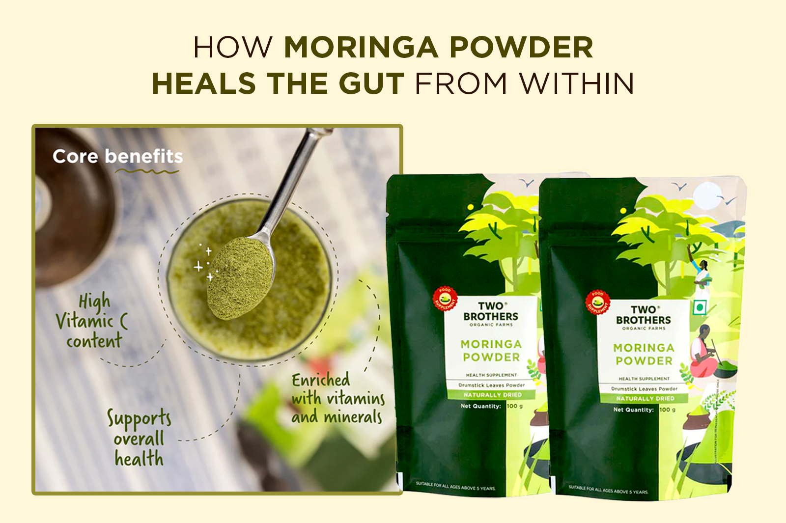 How Moringa Powder Supports Gut Health and Nutrient Absorption