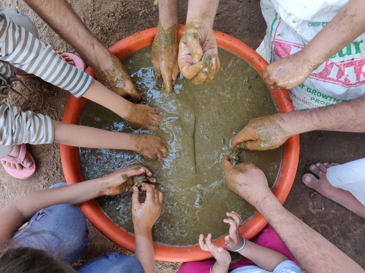 A Look at Life on the Farm in Bhodani