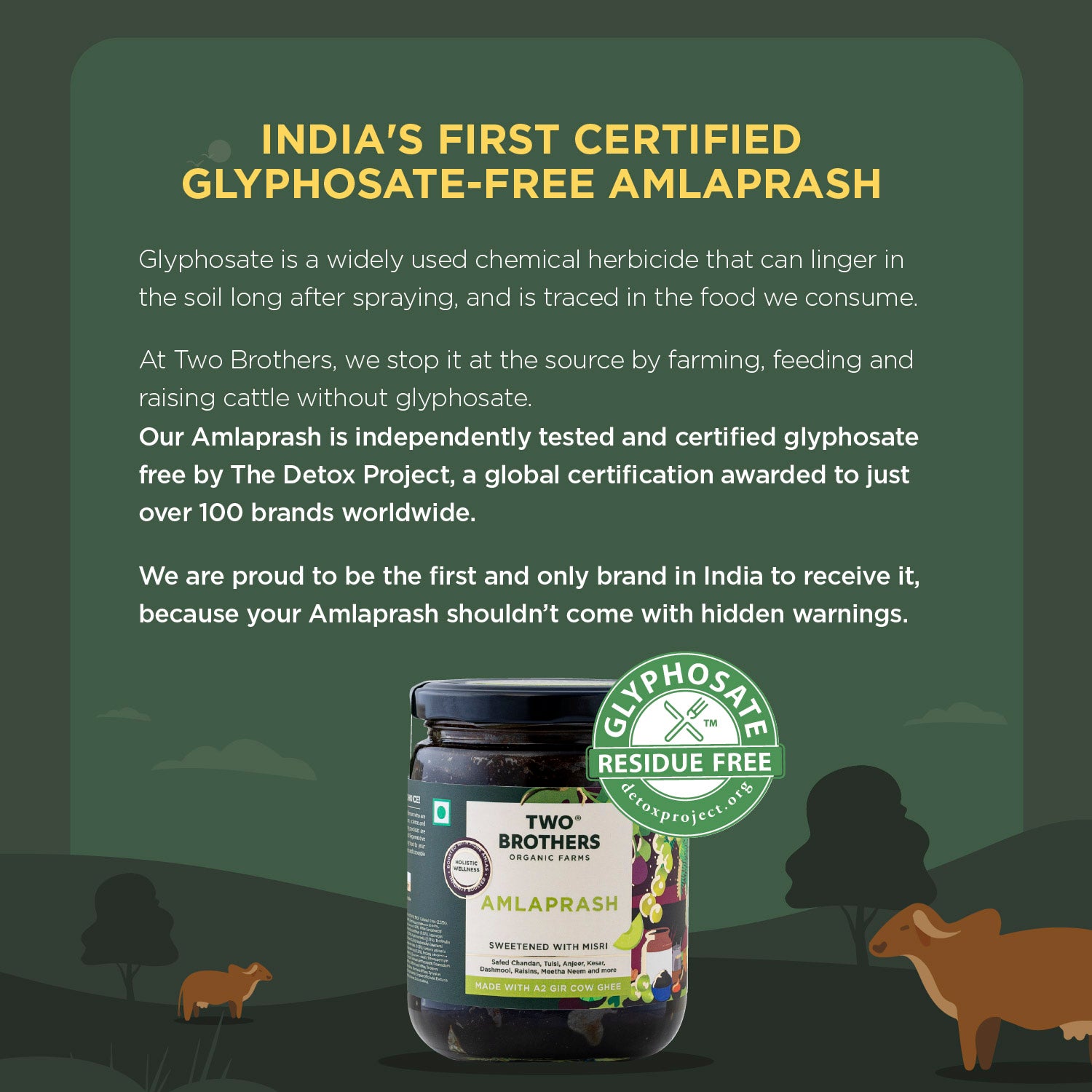 Amlaprash (Limited Edition Chyawanprash)