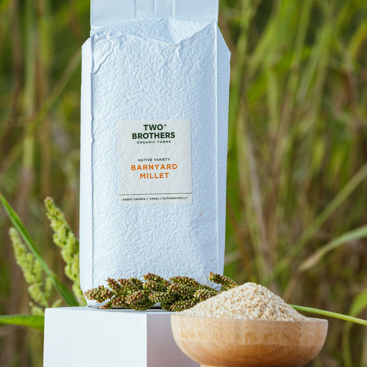 Buy Barnyard Millet Online