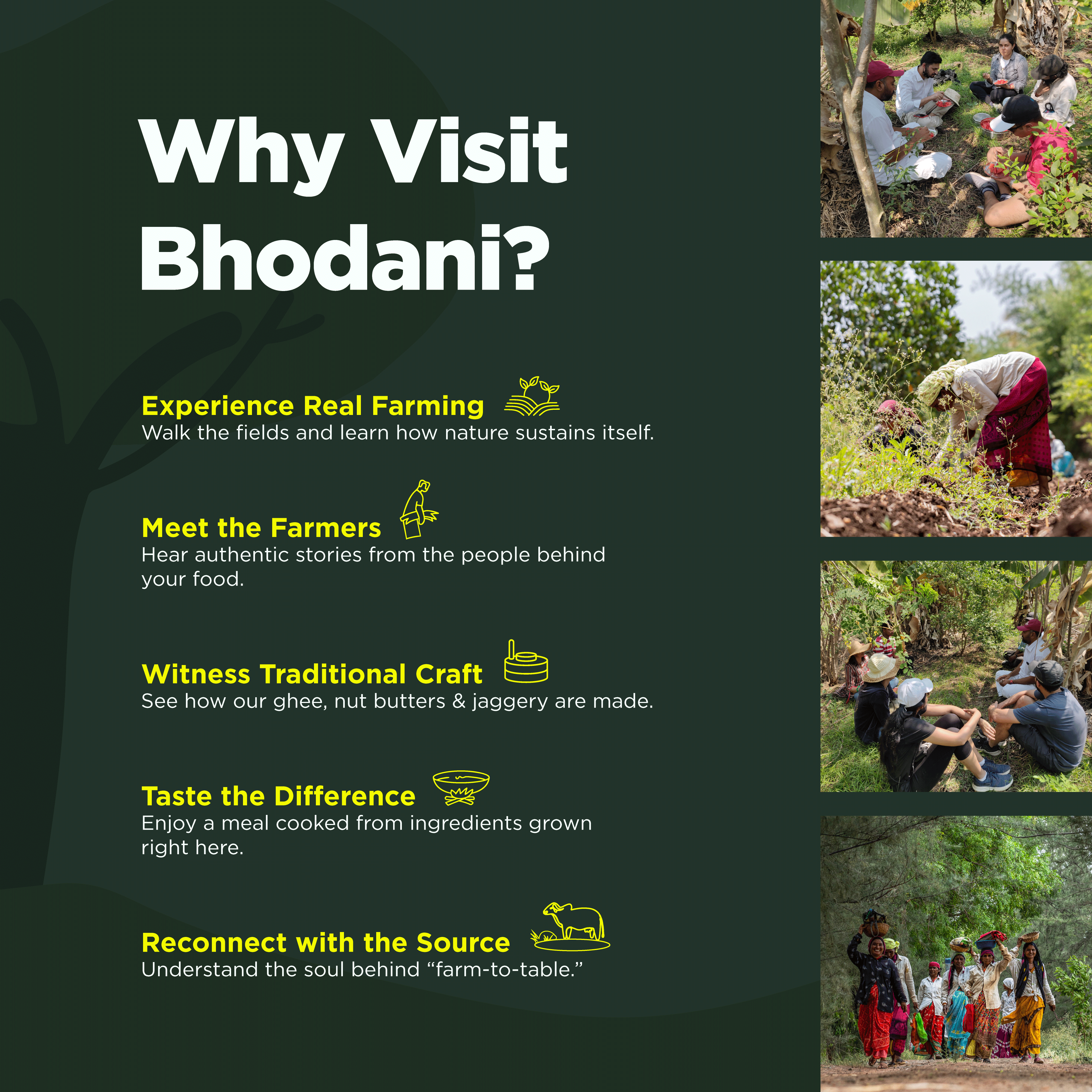 Visit your farm - where all the goodness comes from