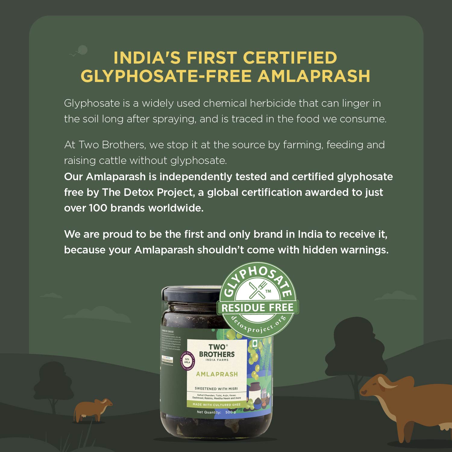 Amlaprash (Limited Edition Chyawanprash)