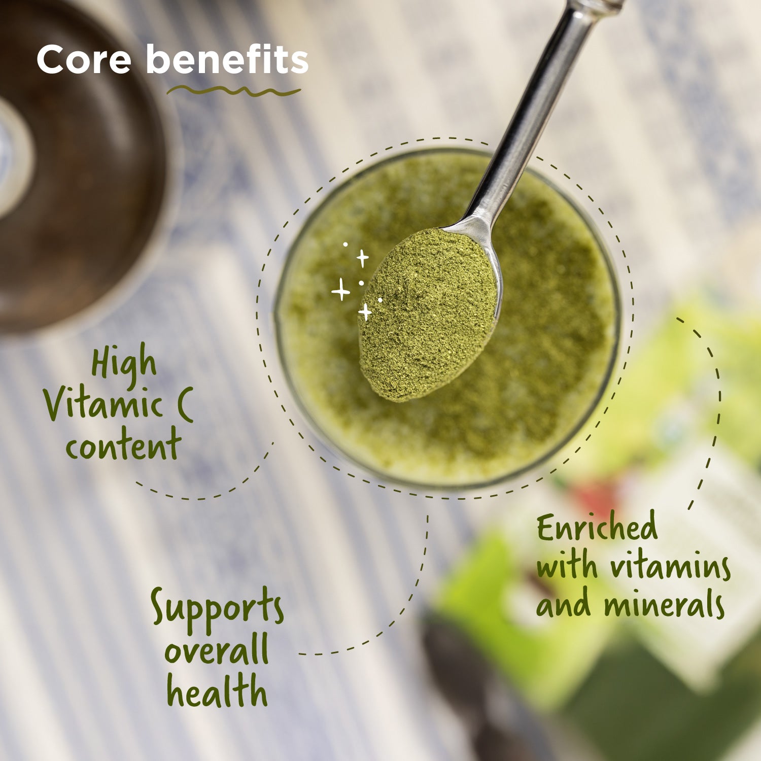 Buy Pure Moringa Powder, Chemical-Free Lab-Tested 100g