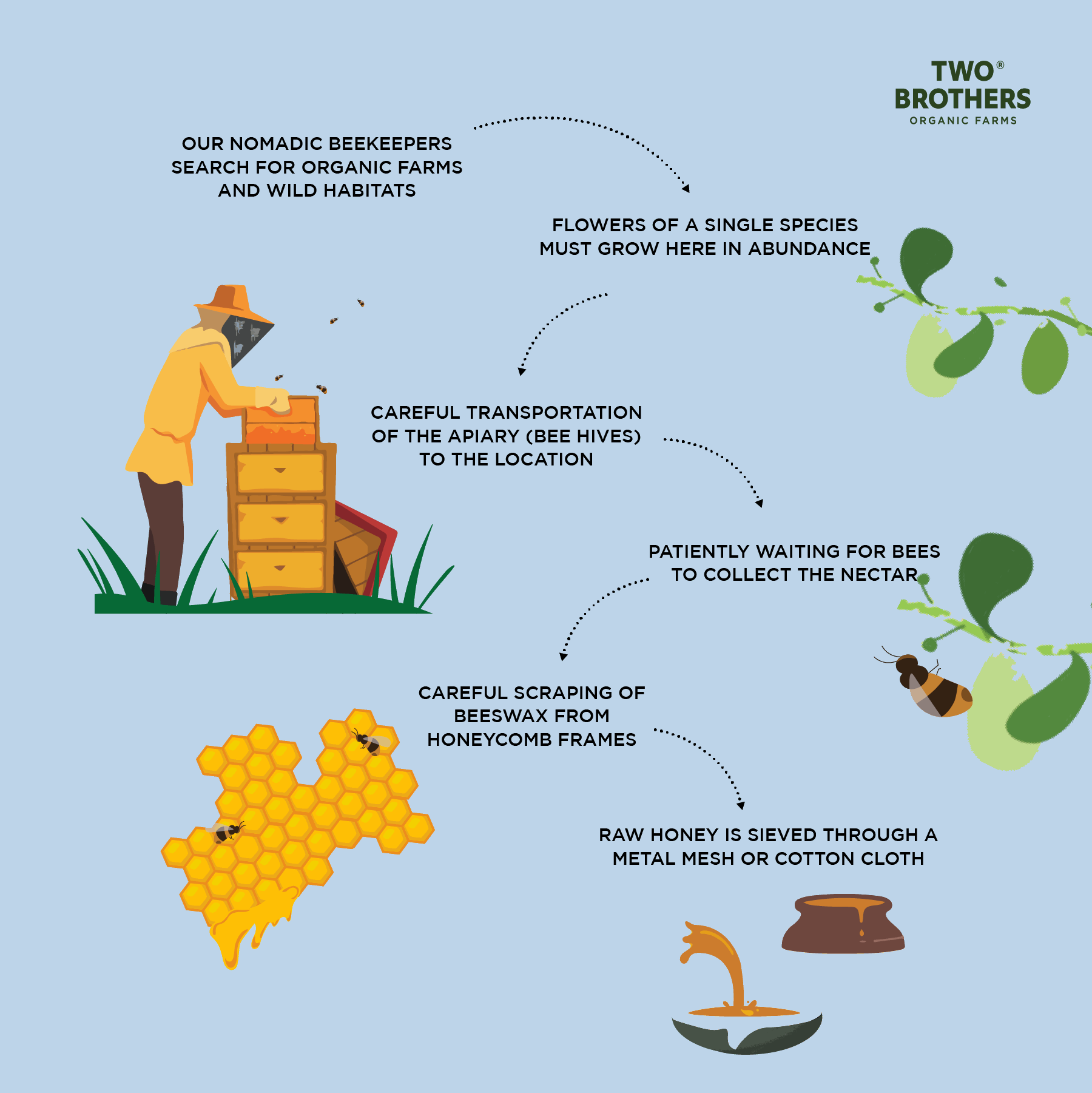 Process Indian Berry Honey, Raw Mono-Floral Unfiltered Shop Now