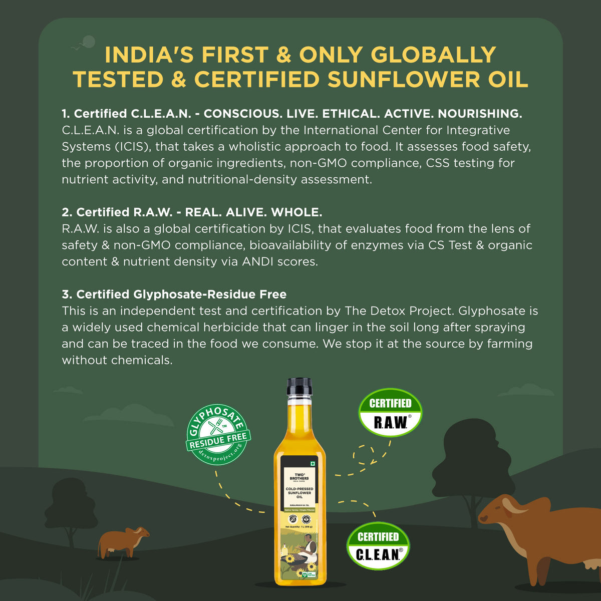 Sunflower Oil I Cold-Pressed