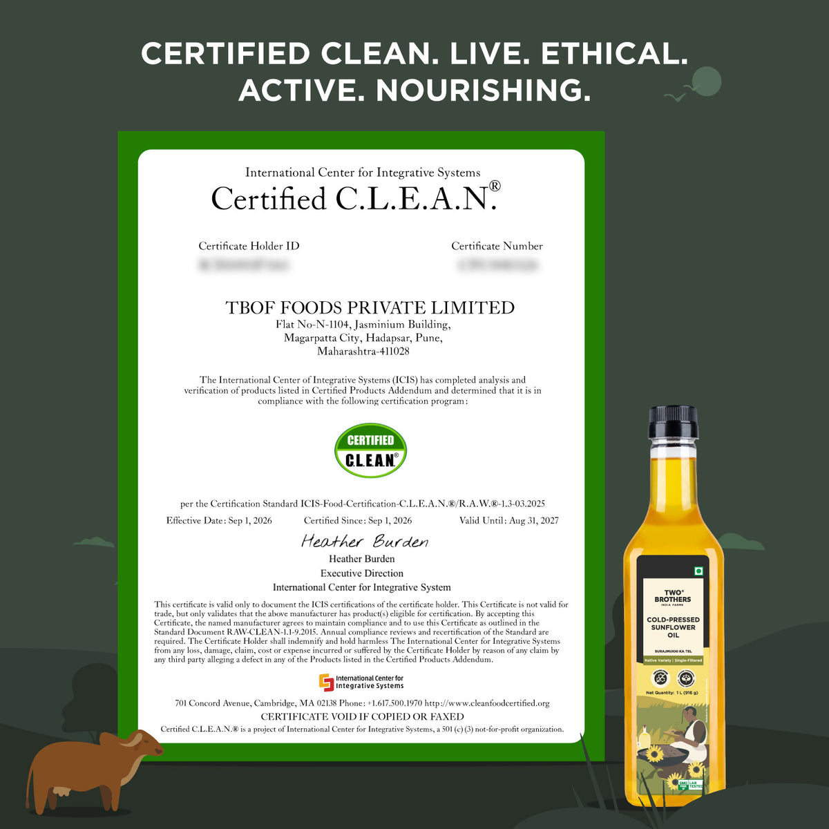 Sunflower Oil I Cold-Pressed
