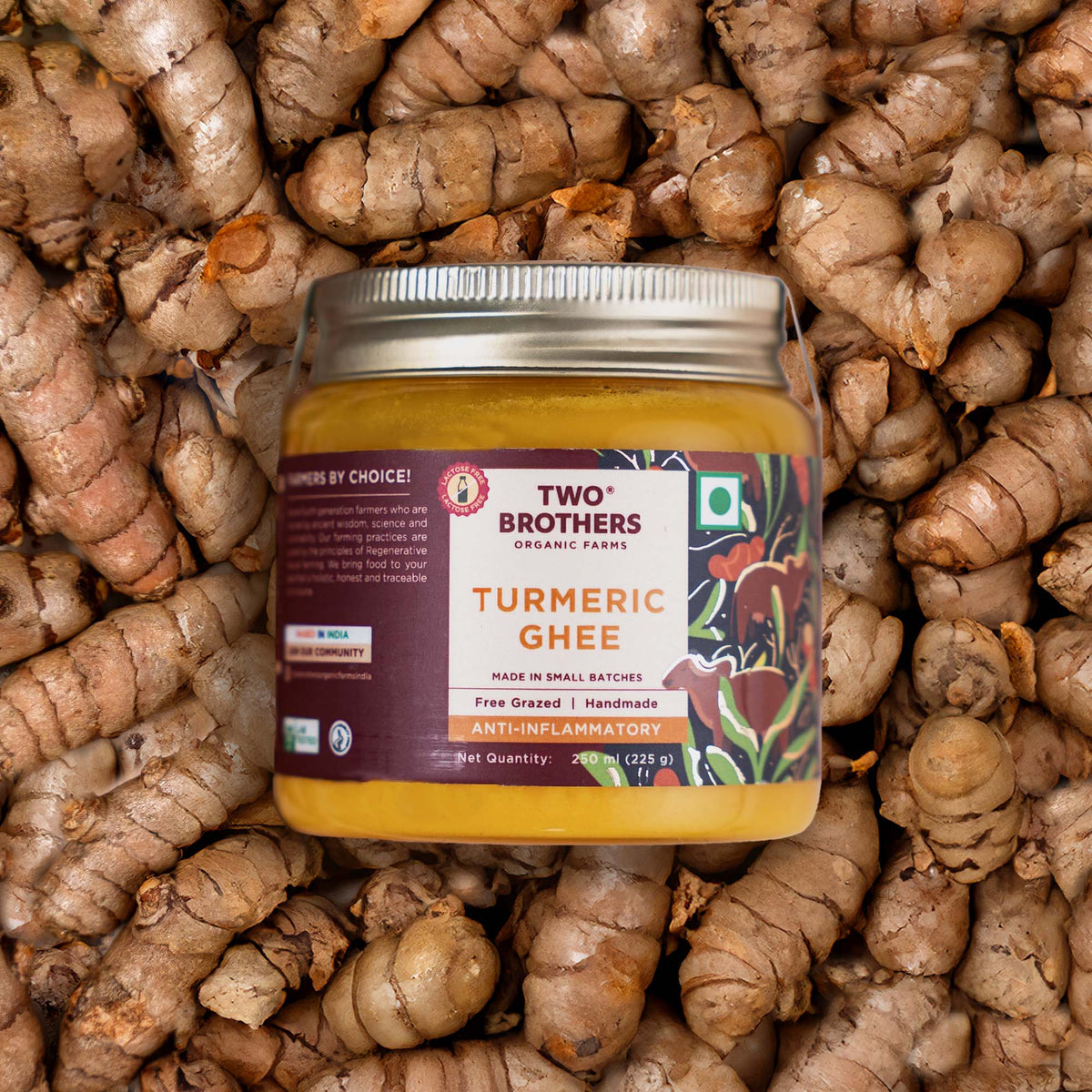A glass jar of anti-inflammatory turmeric ghee placed on top of a bed of raw turmeric roots