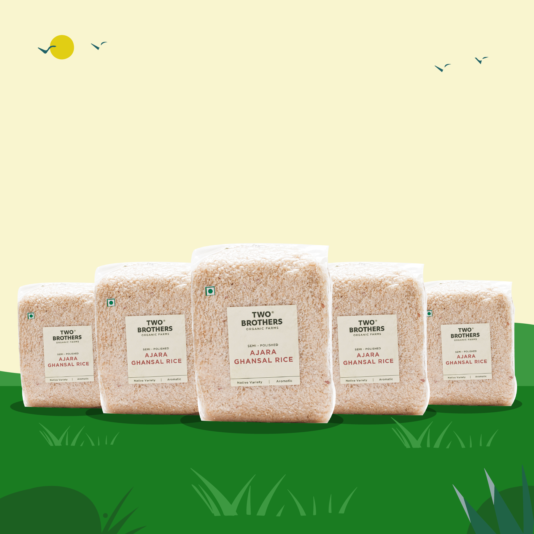 Two Brothers Organic Farms semi-polished Ajara Ghansal Rice multi-pack product lineup for bulk orders.