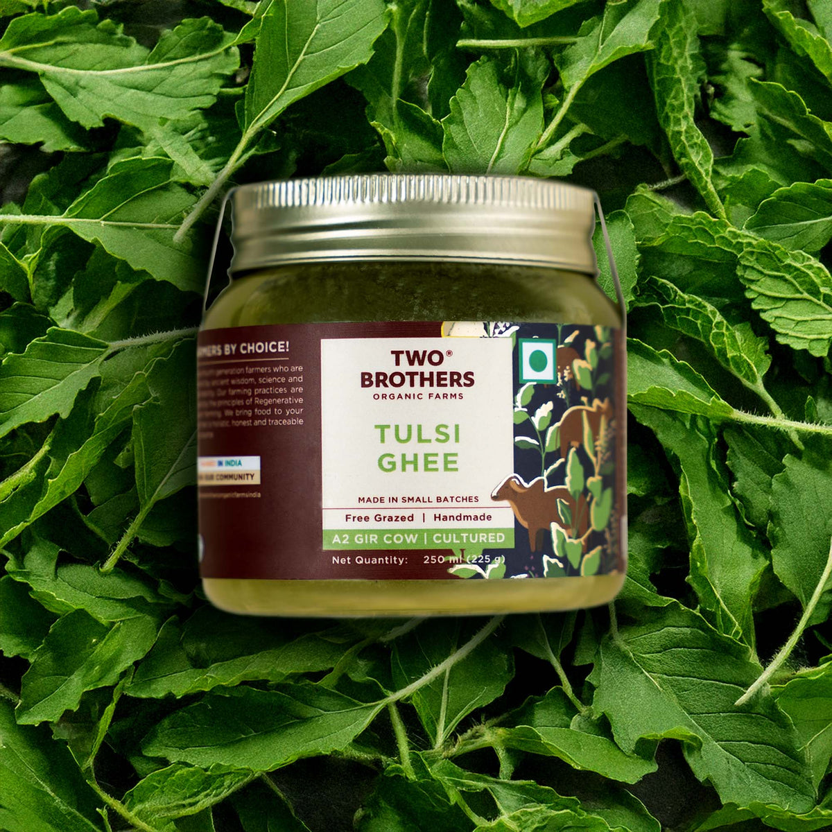 Two Brothers Organic Farms Tulsi Ghee jar on a bed of green leaves