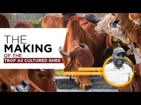 A2 Cow Cultured Ghee, Desi Gir Cow