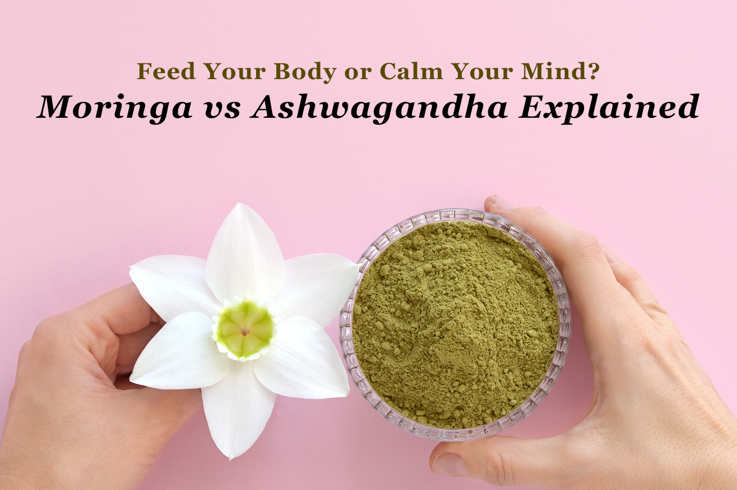 Moringa vs Ashwagandha: Two Indian Superfoods, Two Different Jobs