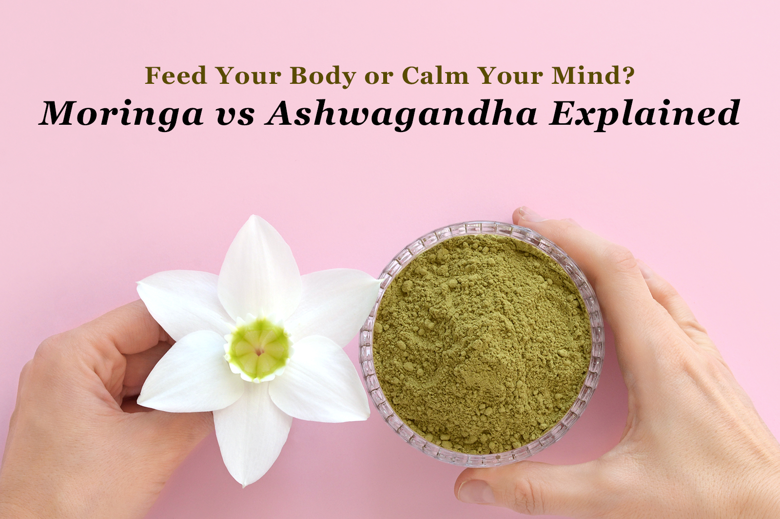 Moringa vs Ashwagandha: Two Indian Superfoods, Two Different Jobs