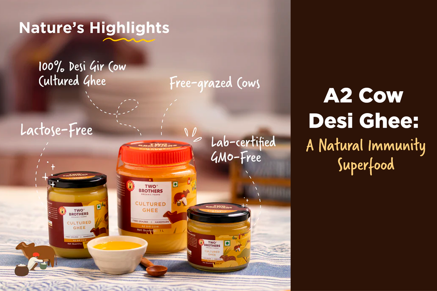 A2 Cow Desi Ghee Benefits for Immunity: Why It’s a Superfood