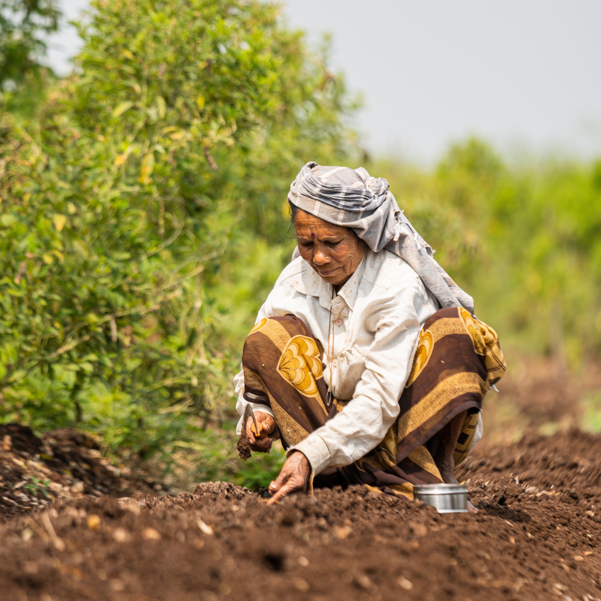 Mulching for soil health - Benefits of Mulching in Organic Farming