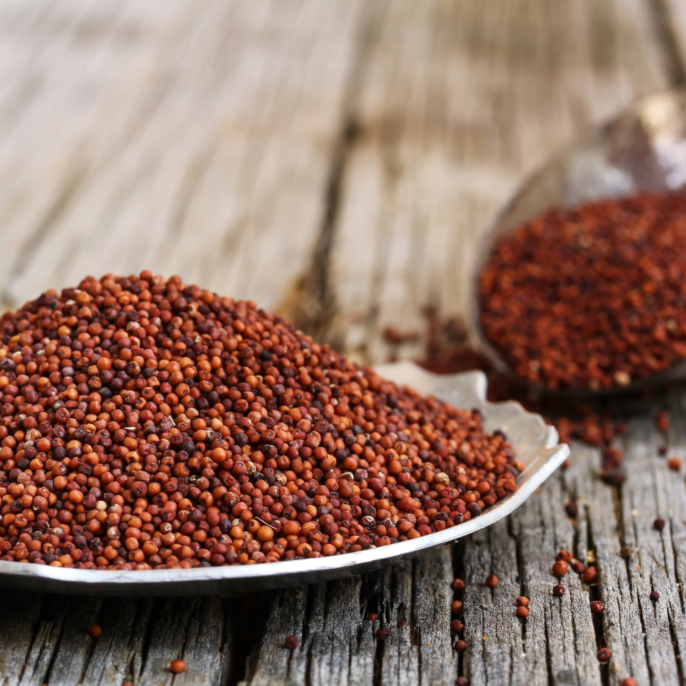 A Quick Guide to Finger Millet - Benefits, Nutritional Values, Recipes, and More