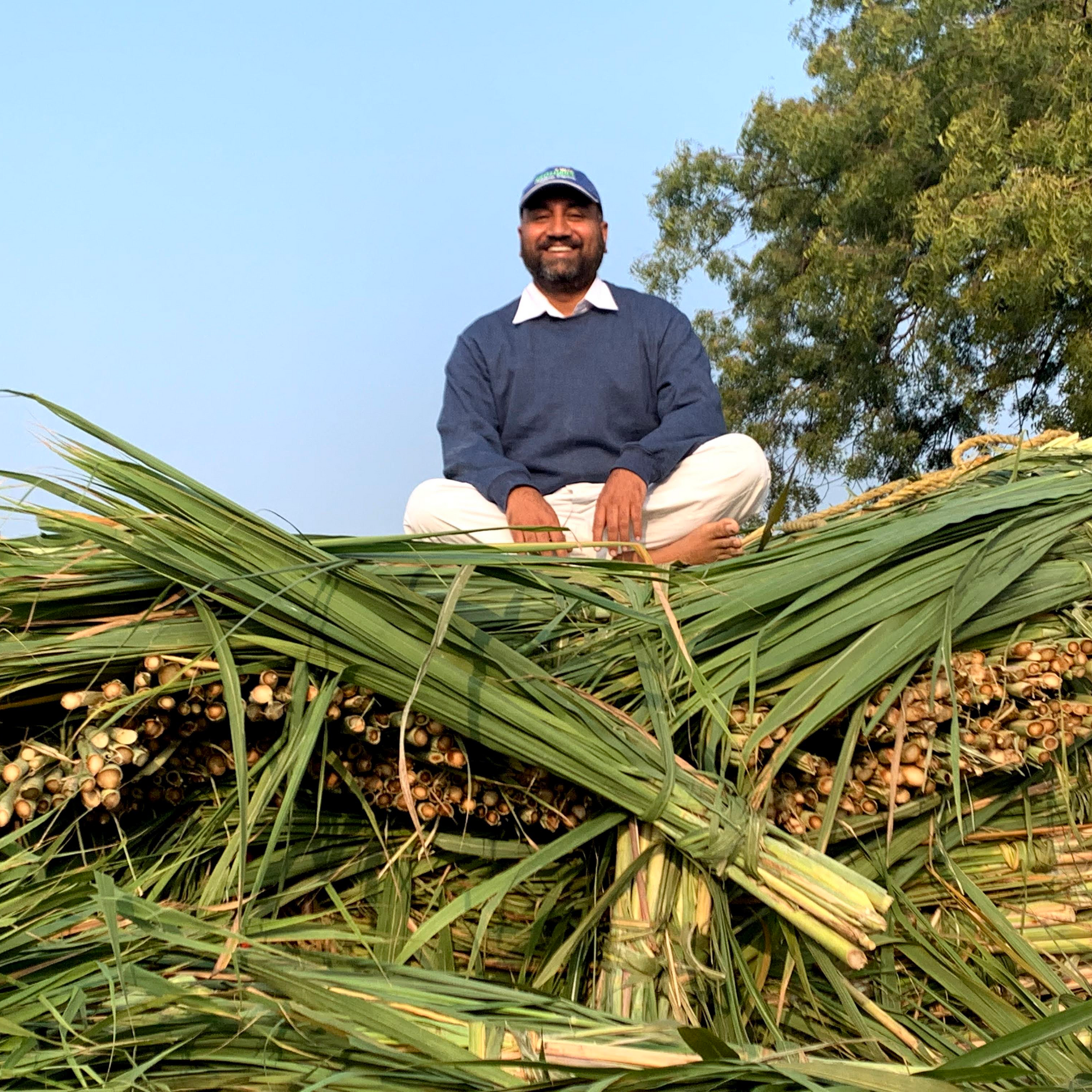 Satyajit Hange, Sugarcane, Two Brothers Organic Farms, Organic Sugarcane Jaggery