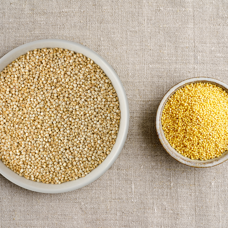 Millet vs. Quinoa Know These 7 Differences Before You Choose A Quic