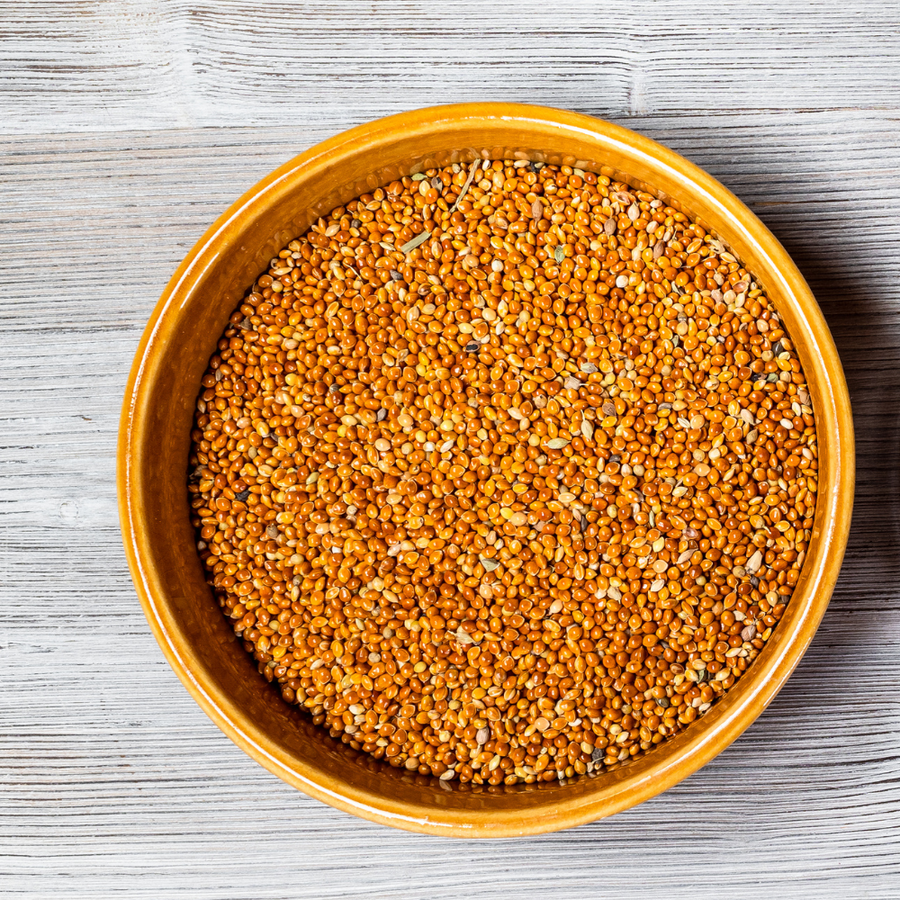 Proso Proso Millet - Everything You Need to Know 2023