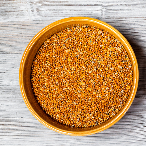 Proso Millet Everything You Need to Know 2023