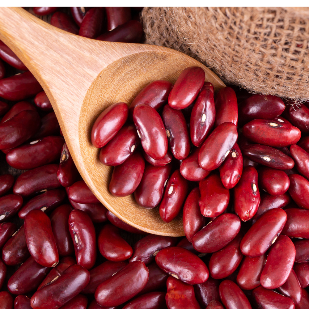 Types of Rajma Beans and Rajma Benefits
