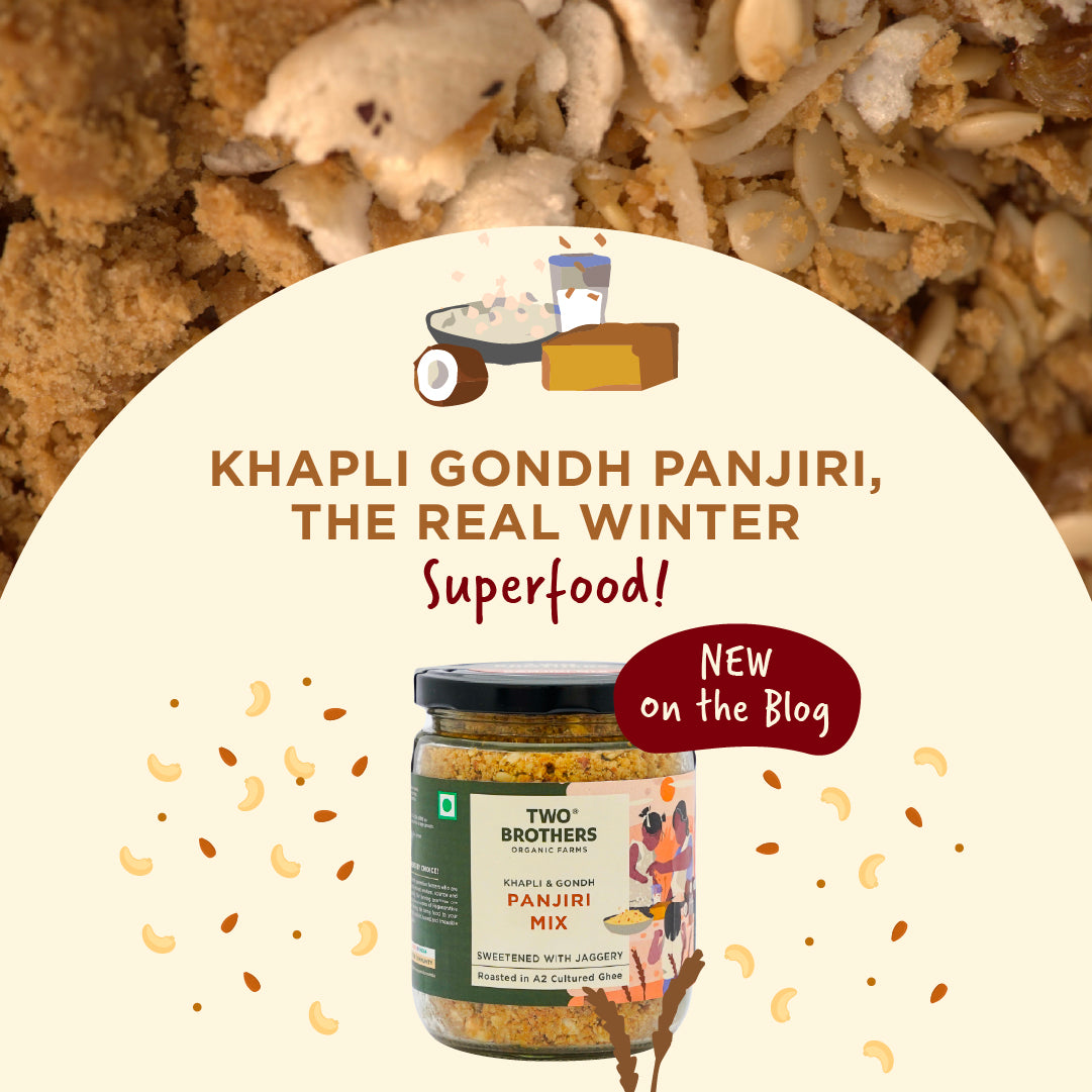 Khapli Gondh Panjiri, the Real Winter Superfood!