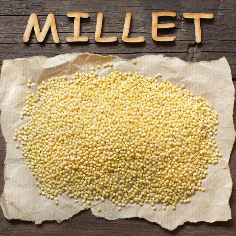 Types of Millets – An Exhaustive Guide