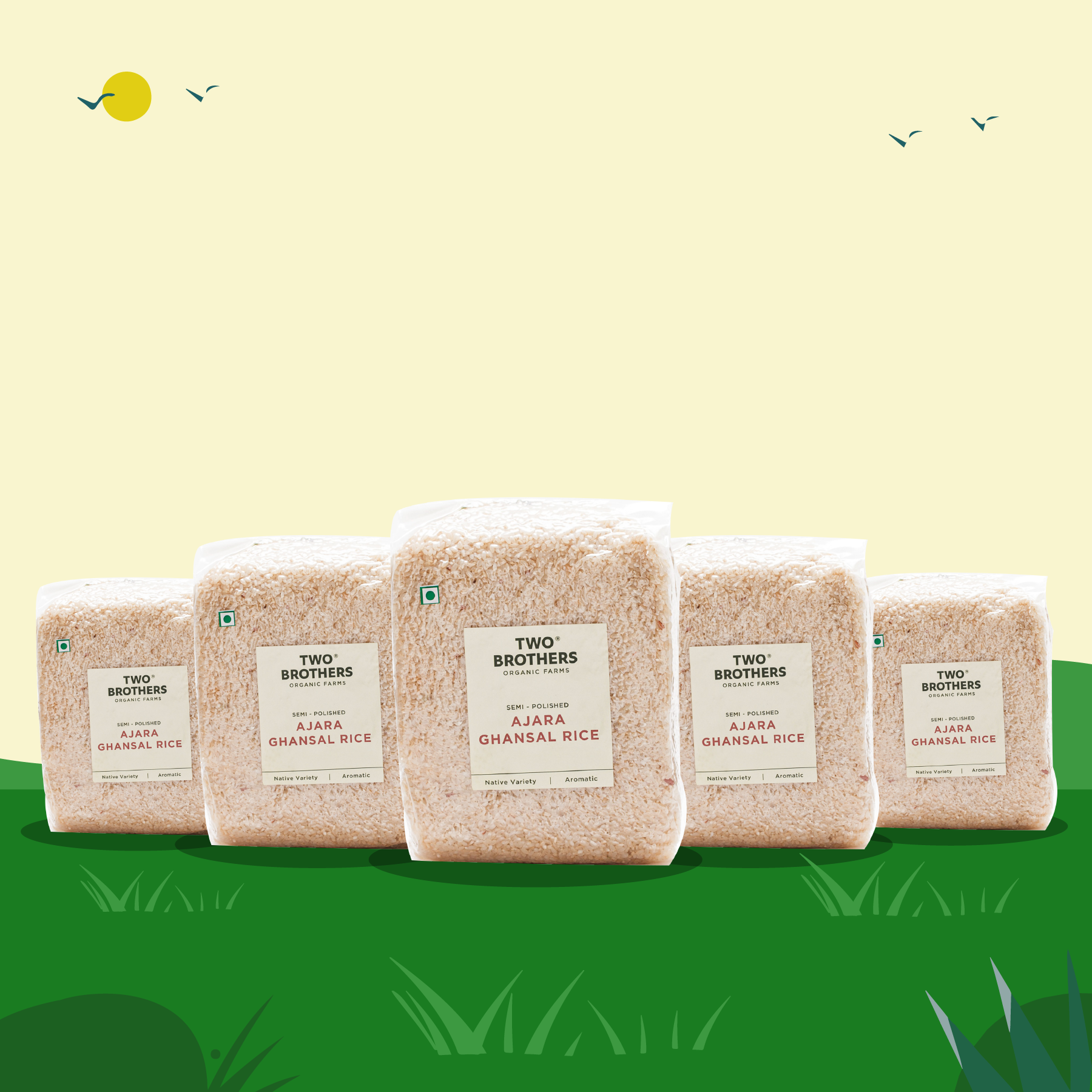 Buy Ajara Rice, Ajara Ghansal Rice Best Price 