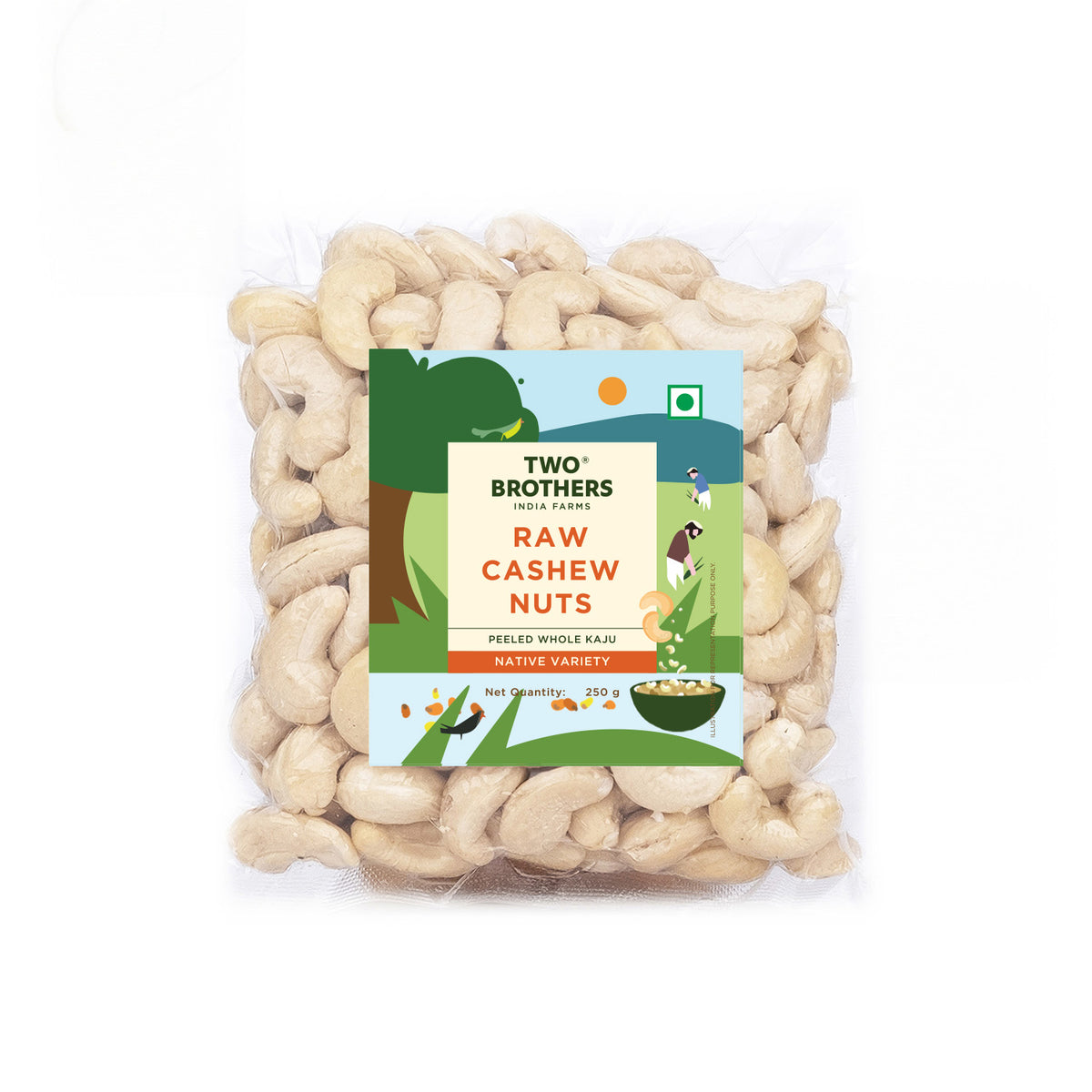 Raw Cashew Nuts