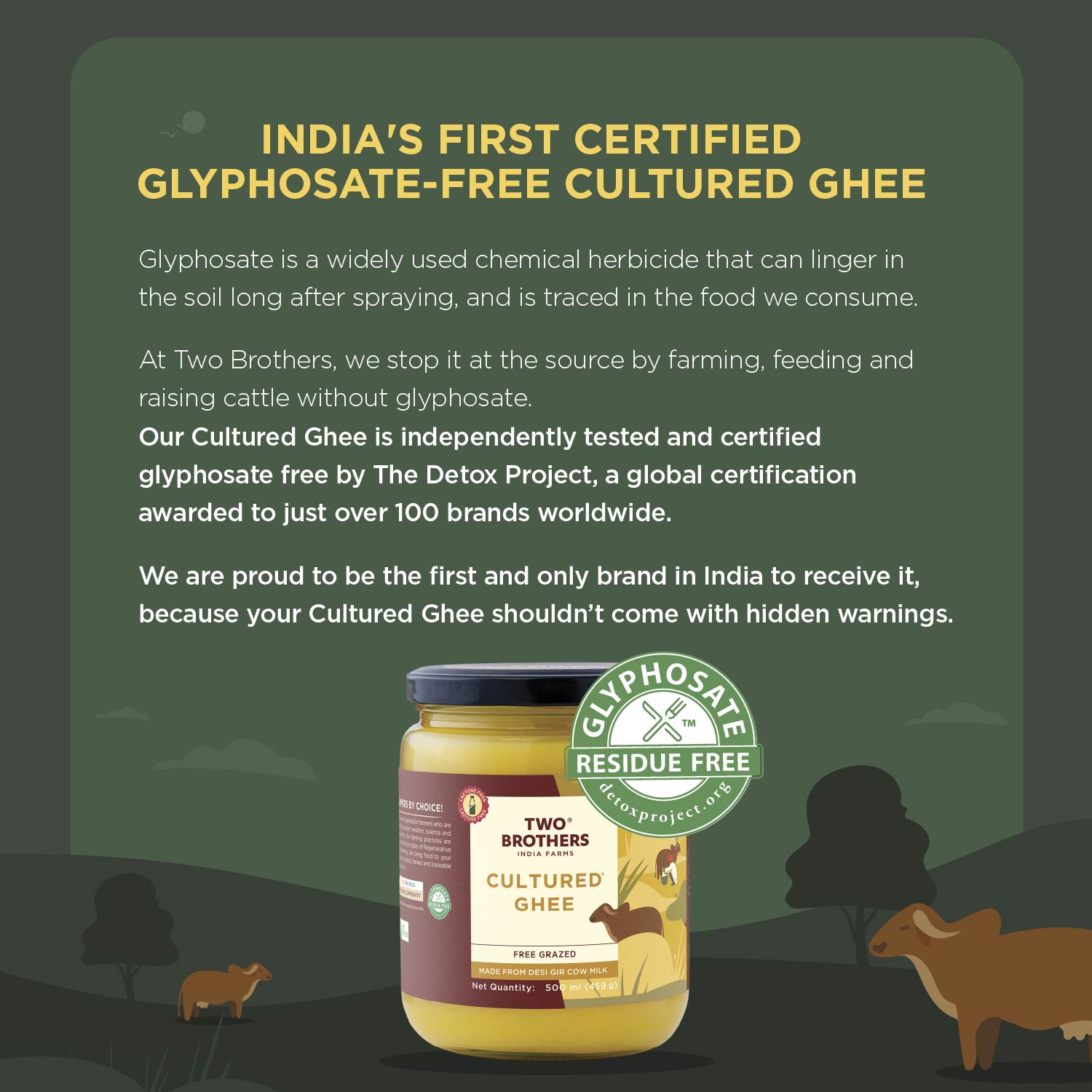 Desi Gir Cow Cultured Ghee
