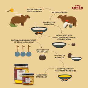 A2 ghee making infographic