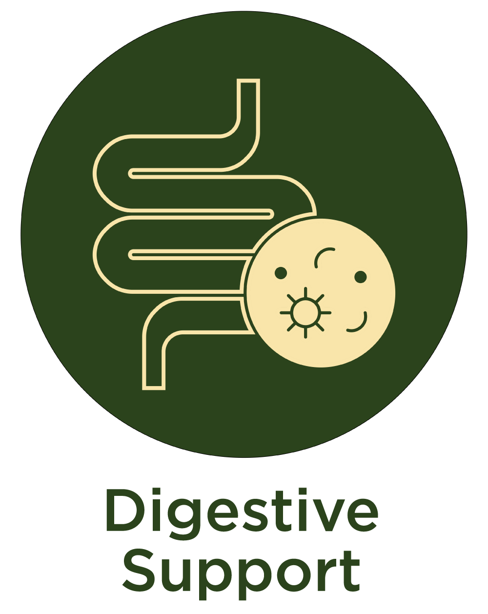 Digestive Support