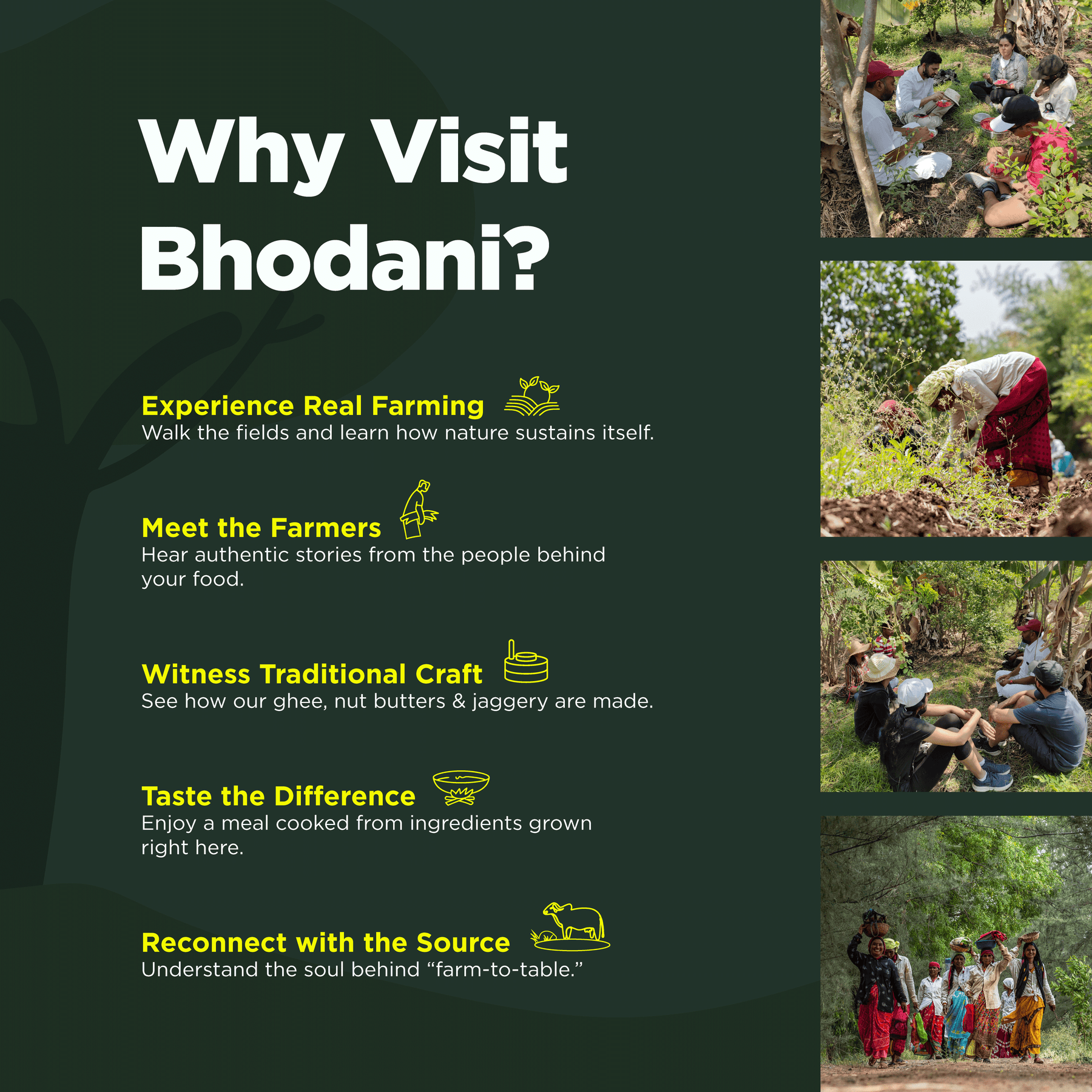 Visit your farm - where all the goodness comes from