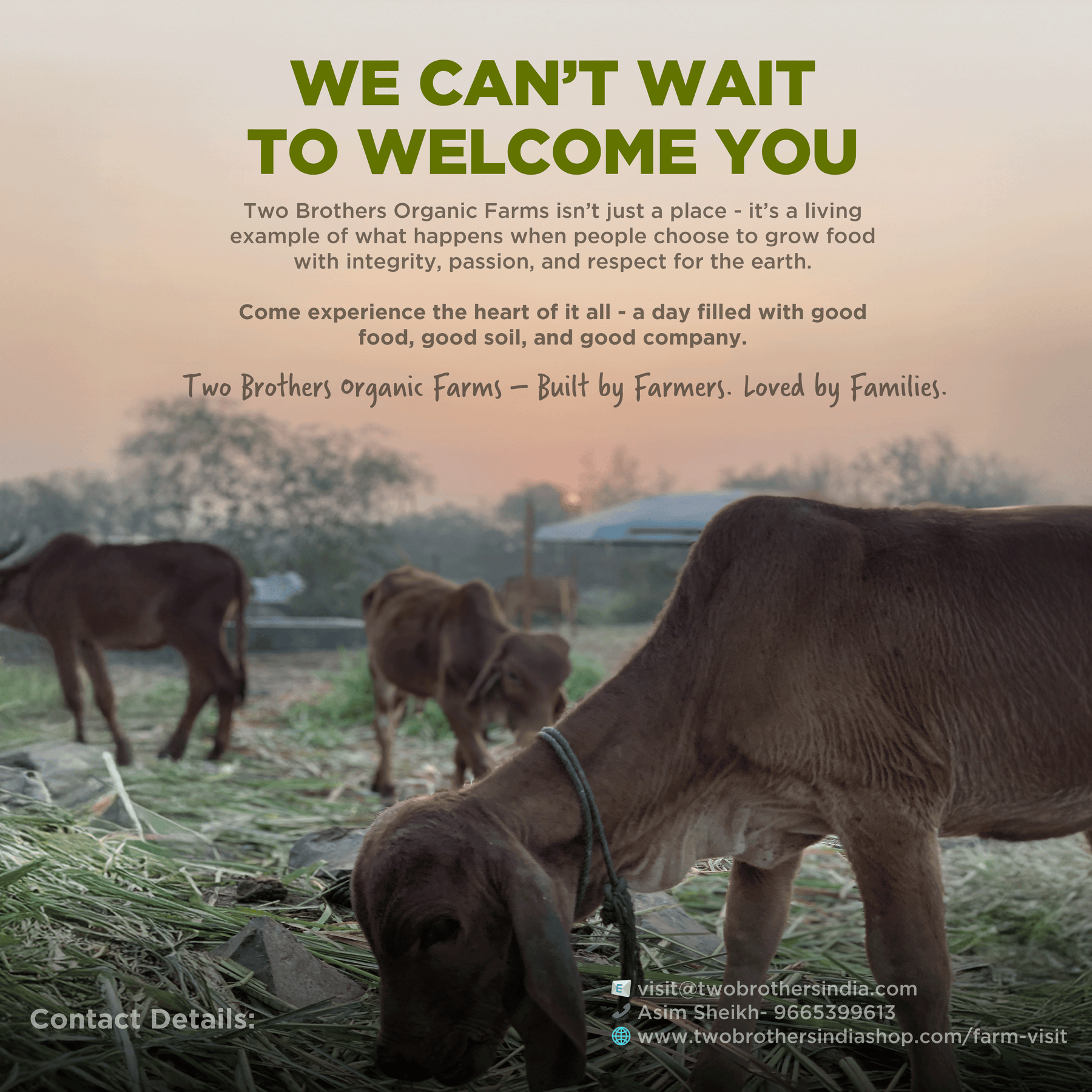 Visit your farm - where all the goodness comes from