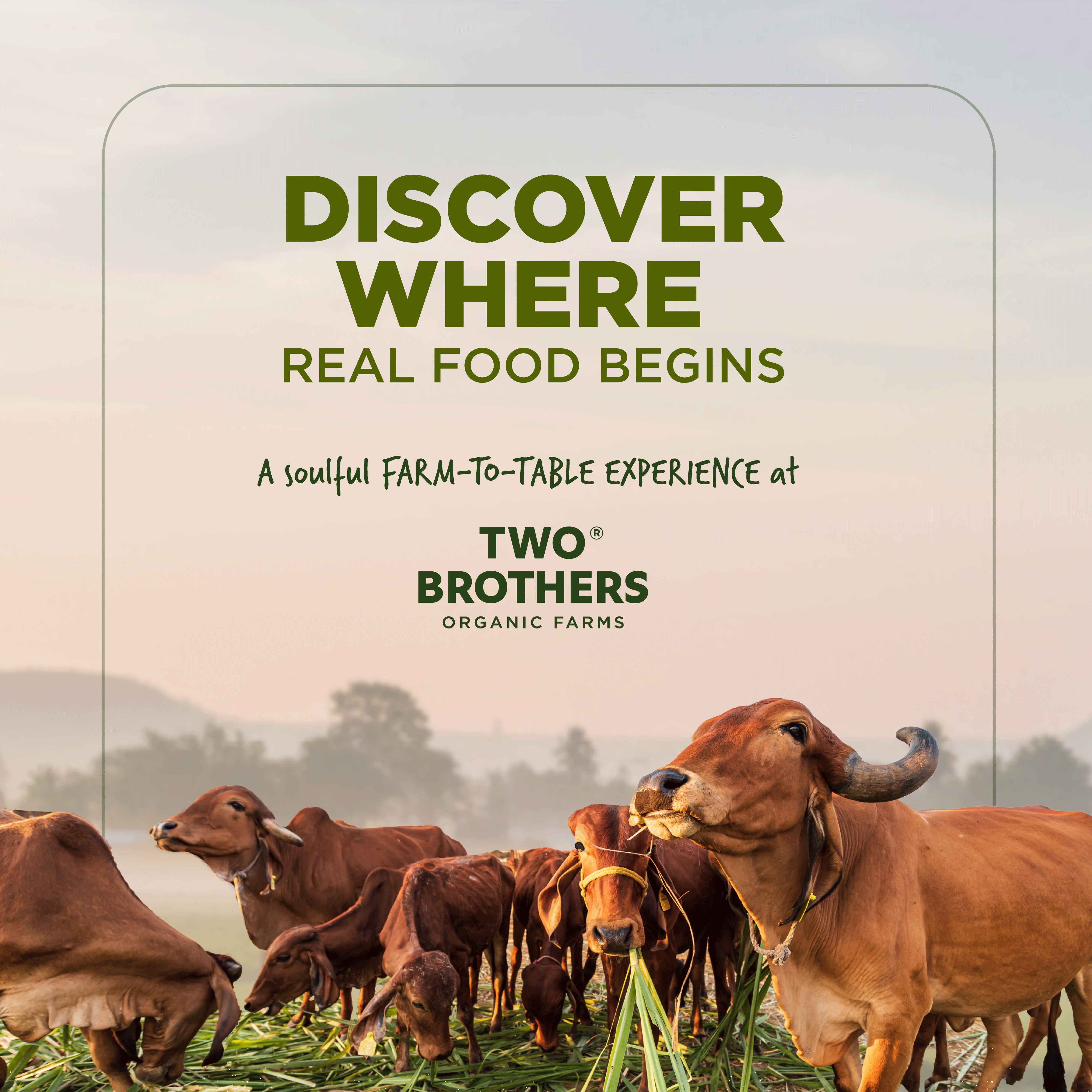 Visit your farm - where all the goodness comes from