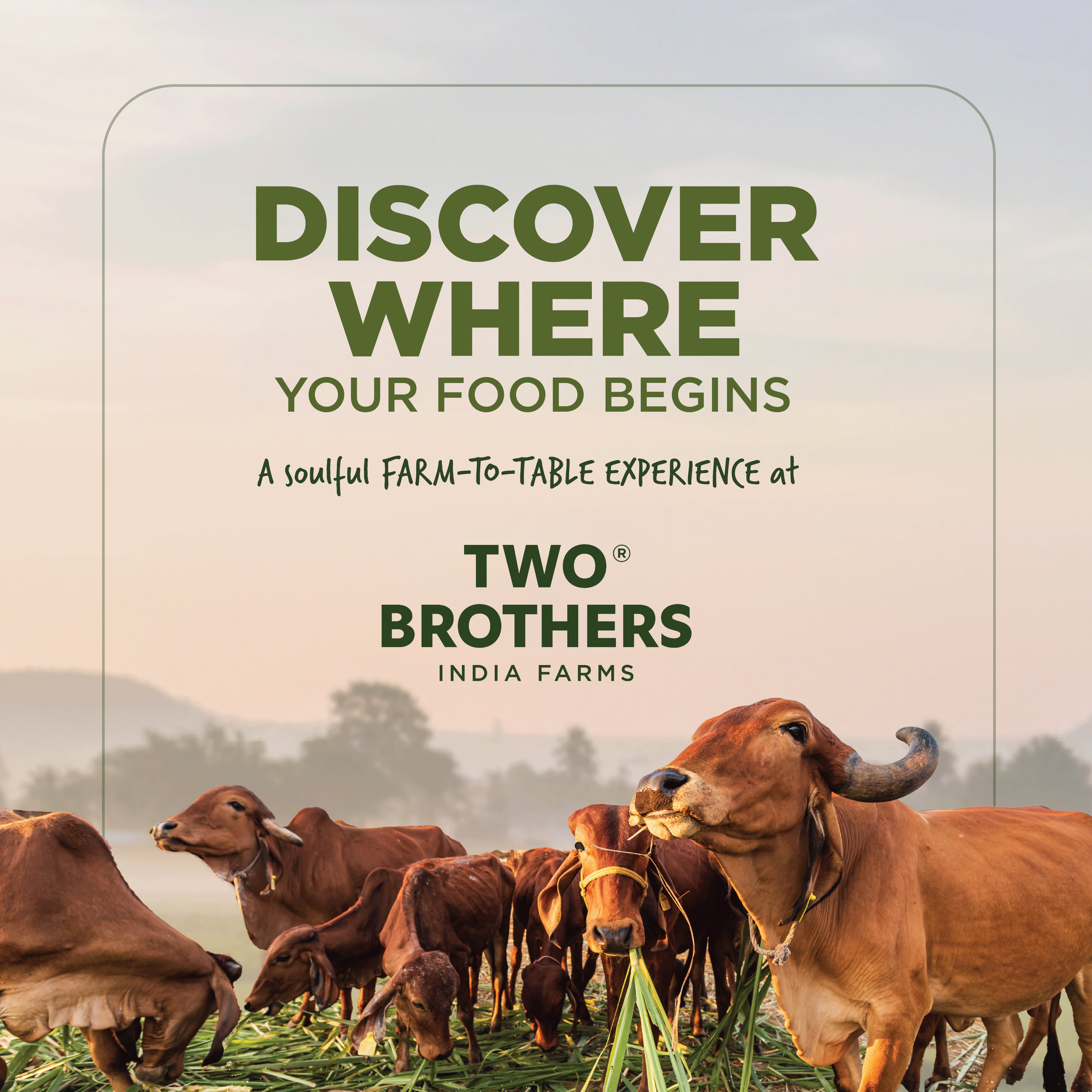 Visit your farm - where all the goodness comes from
