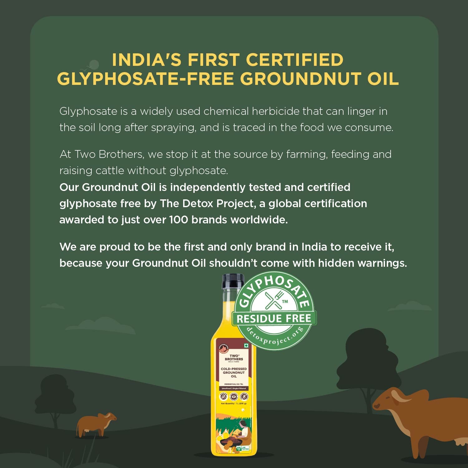 Groundnut Oil, Cold-Pressed, Single-filtered