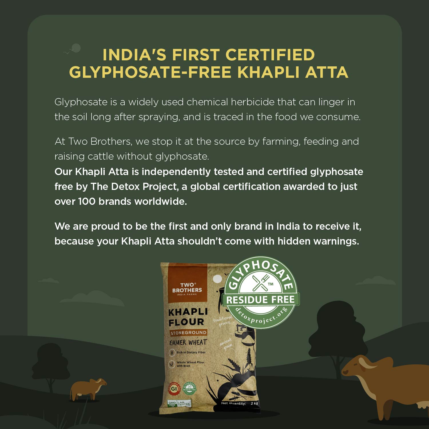 Khapli Wheat Atta (Emmer Wheat Flour) Atta Stone Ground