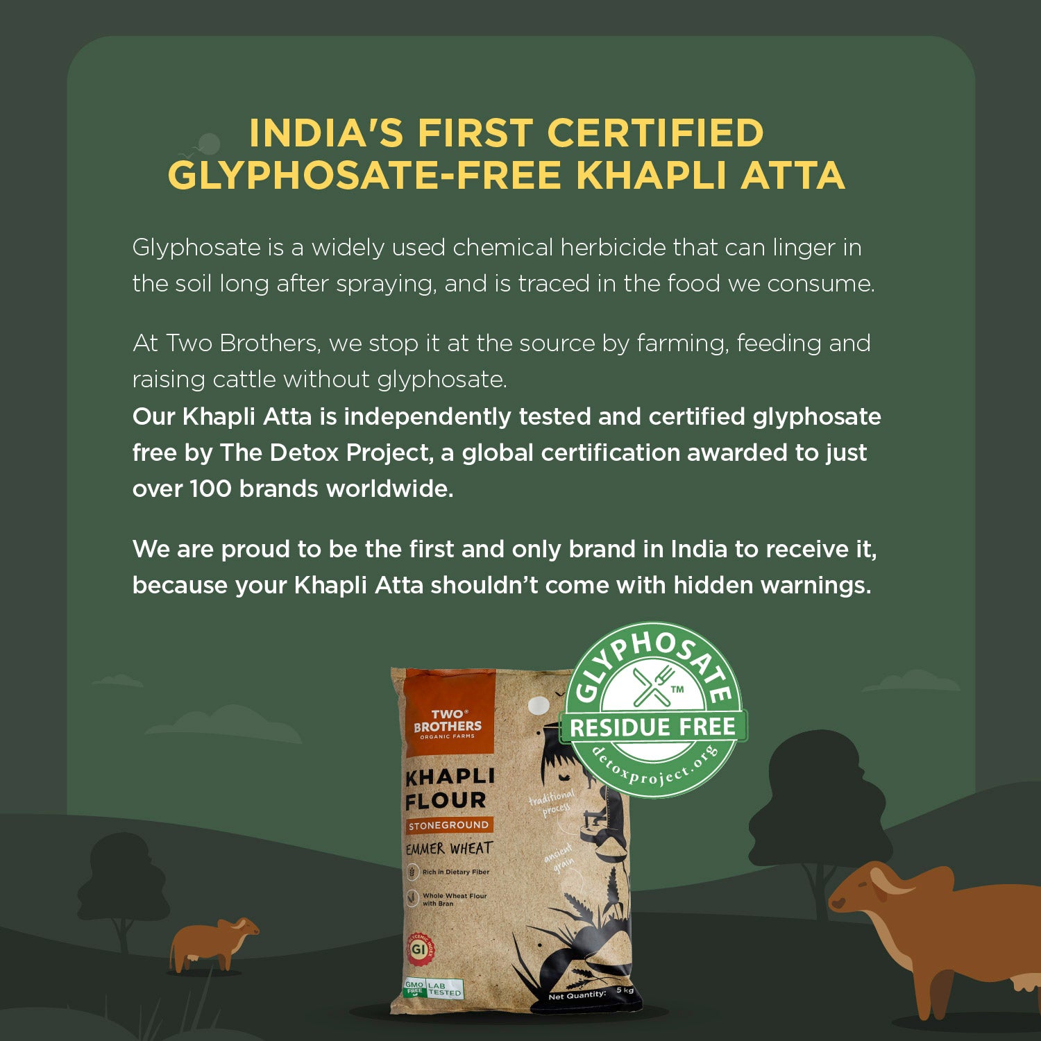 Khapli Wheat Atta (Emmer Wheat Flour) Atta Stone Ground