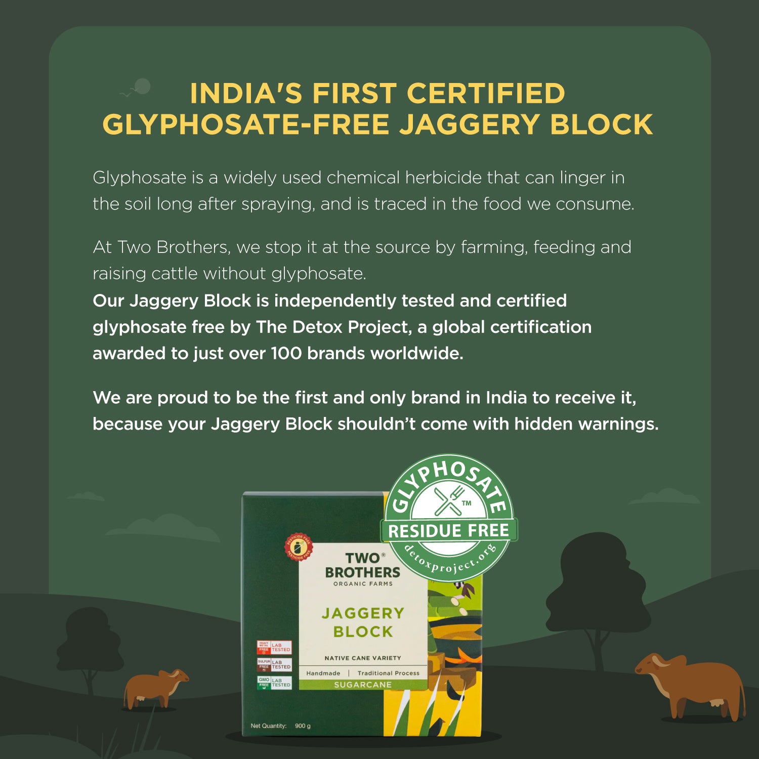 Sugarcane Jaggery Block