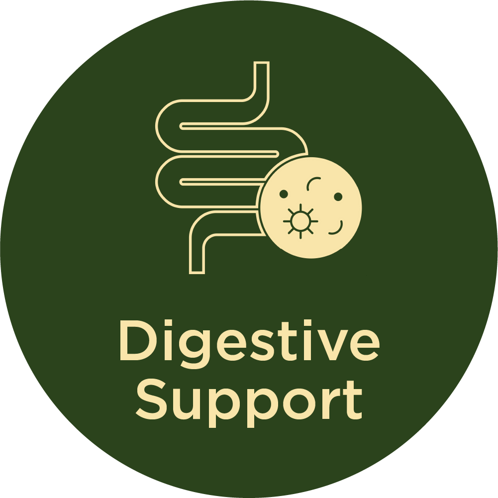 Digestive Support