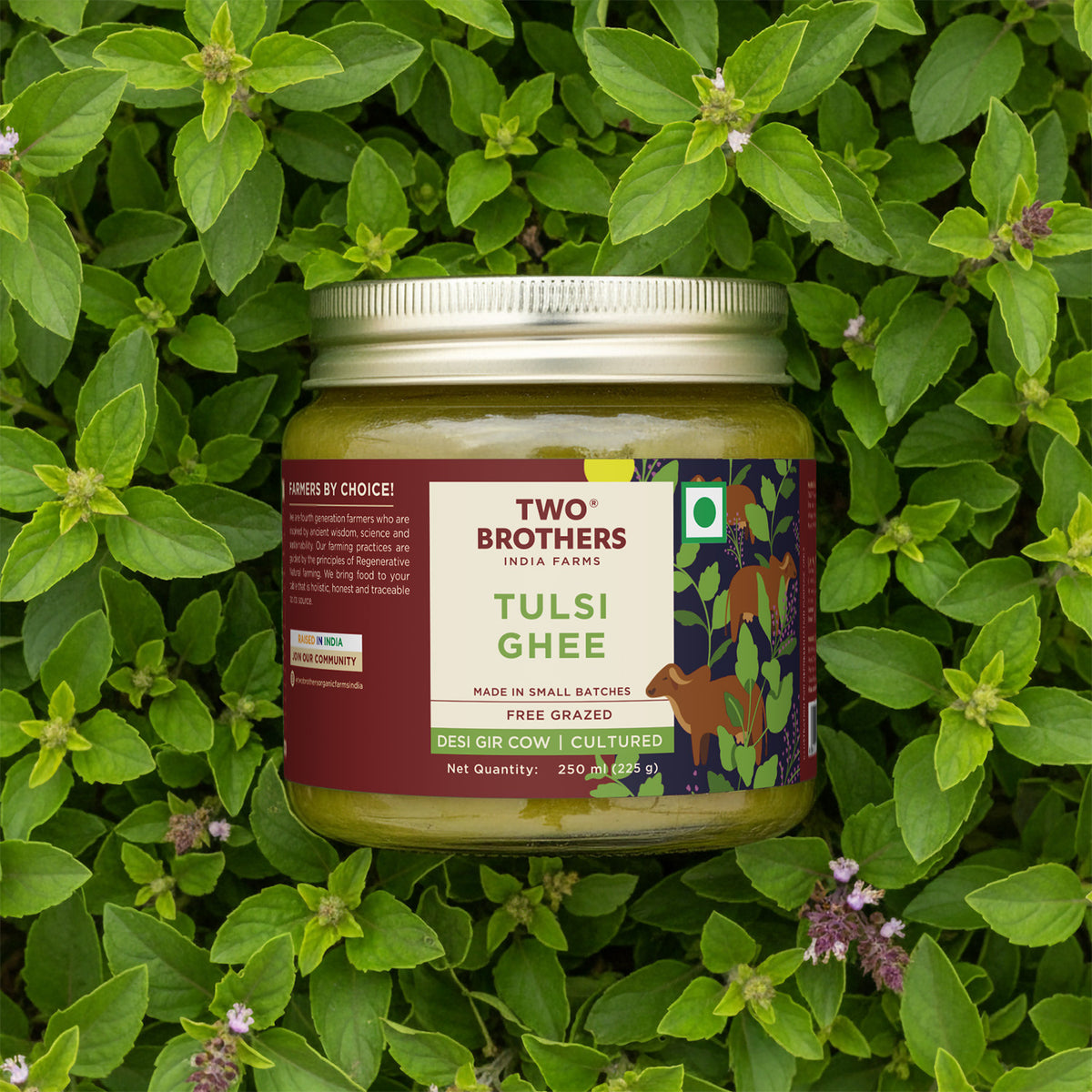 Tulsi Ghee
