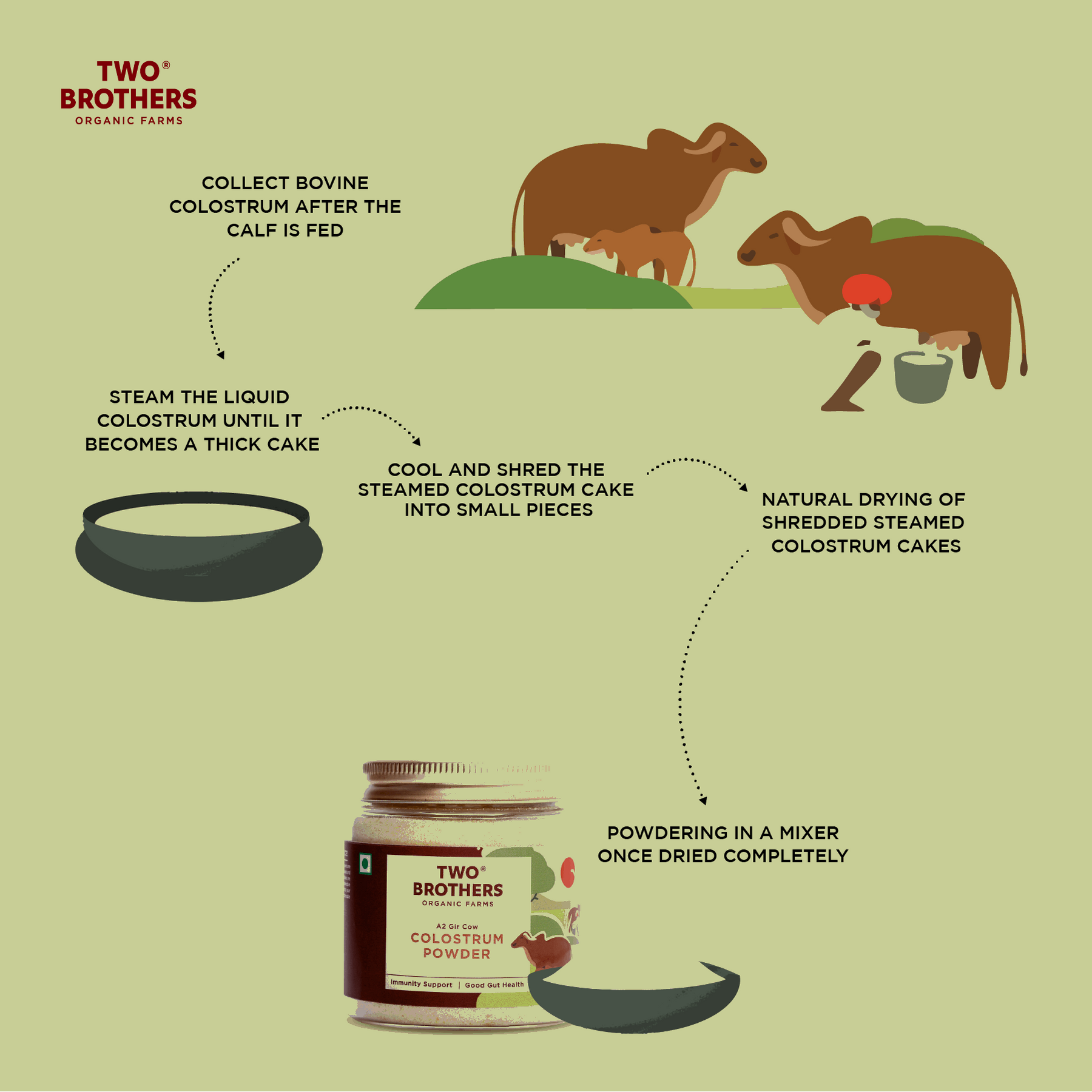 How colostrum powder is made from a2 cow milk