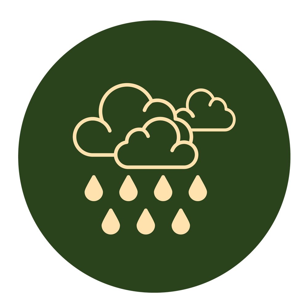 Monsoon Special