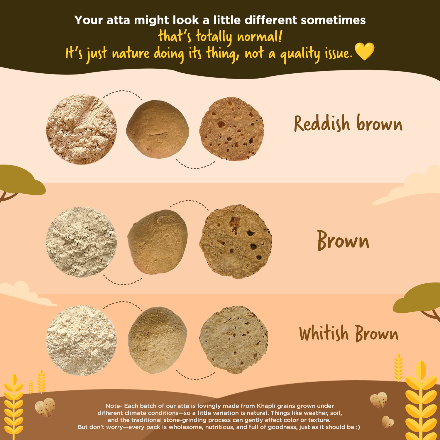 Two Brothers Organic Farms Khapli Wheat Flour batch color comparison chart