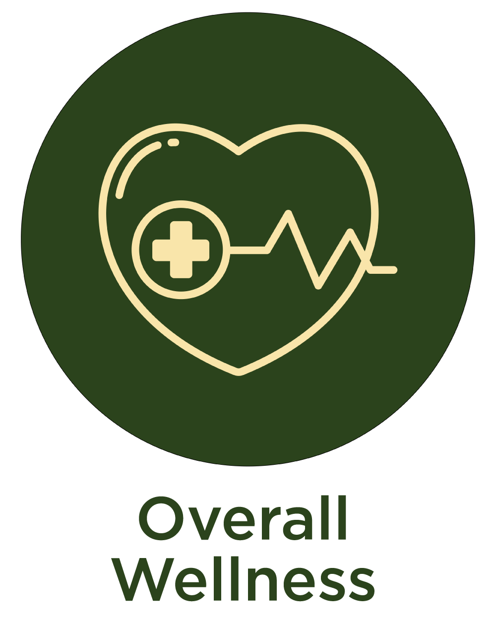 Overall Wellness